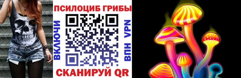 что такое   Красновишерск  Галлюциногенные грибы Cubensis 
